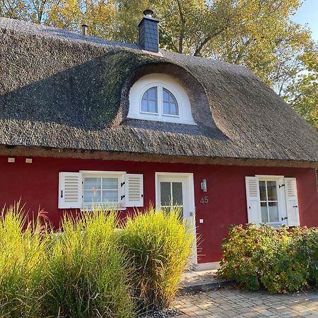 Ferienhaus Stella Глове Екстериор снимка